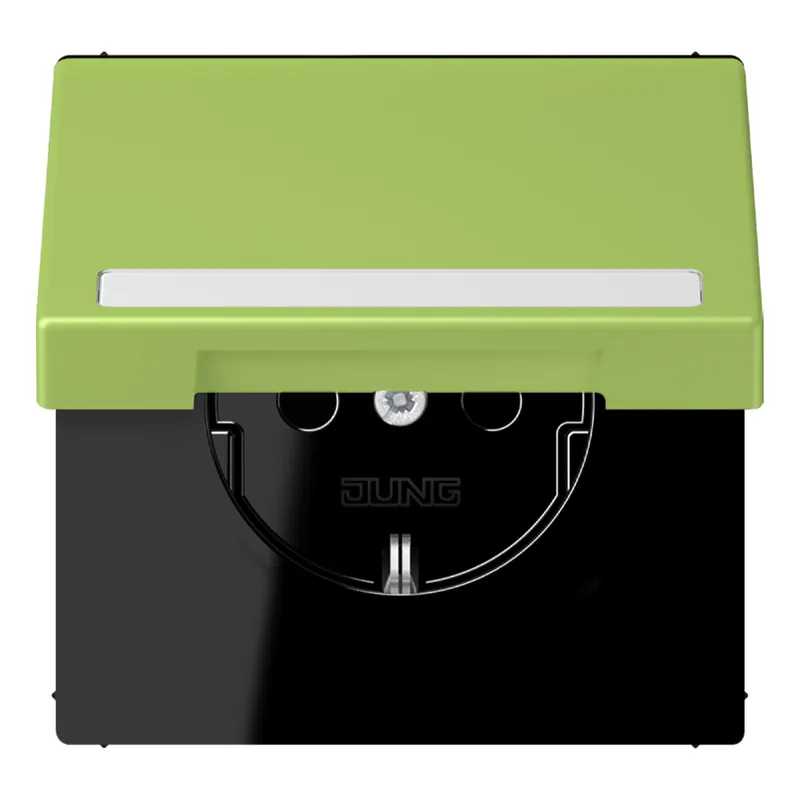 Jung SCHUKO Steckdose, 16 A 250 V ~, mit Schriftfeld, Serie LS, vert cl LC1520BFNAKL221