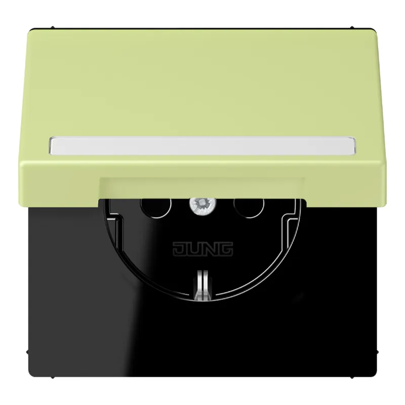 Jung SCHUKO Steckdose, 16 A 250 V ~, mit Schriftfeld, Serie LS, vert ja LC1520BFNAKL222