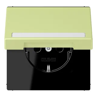 Jung SCHUKO Steckdose, 16 A 250 V ~, mit Schriftfeld, Serie LS, vert ja LC1520BFNAKL222
