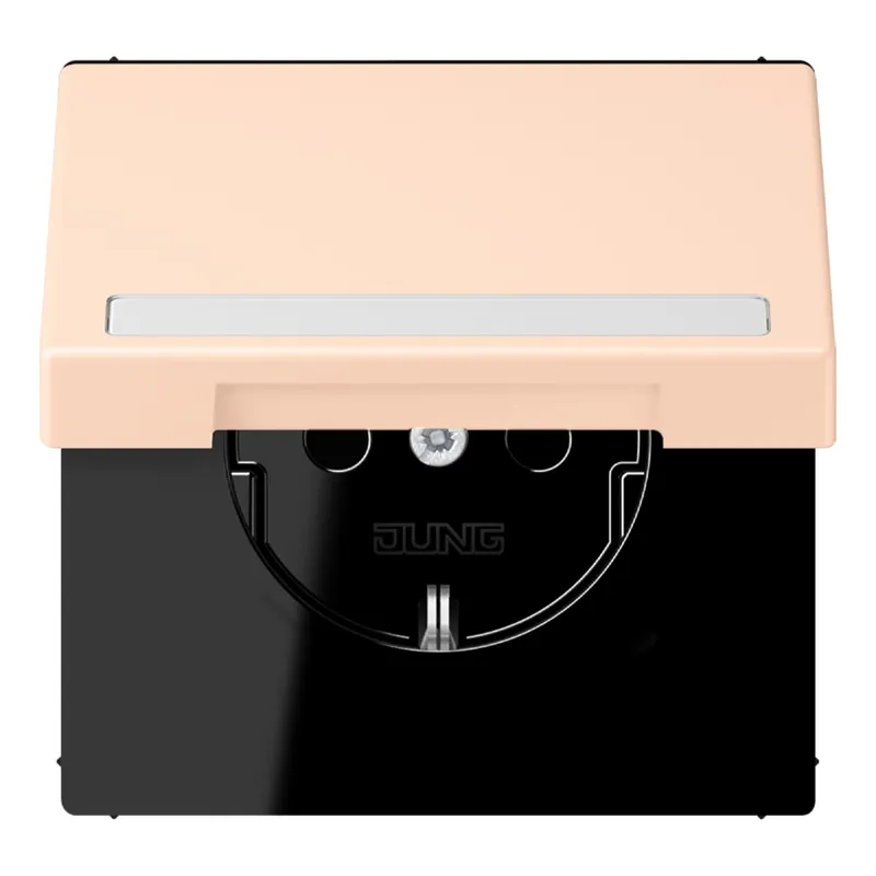 Jung SCHUKO Steckdose, 16 A 250 V ~, mit Schriftfeld, Serie LS, rose pâ LC1520BFNAKL228