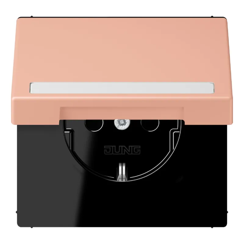 Jung SCHUKO Steckdose, 16 A 250 V ~, mit Schriftfeld, Serie LS, rose cl LC1520BFNAKL231