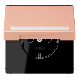 Jung SCHUKO Steckdose, 16 A 250 V ~, mit Schriftfeld, Serie LS, rose cl LC1520BFNAKL231