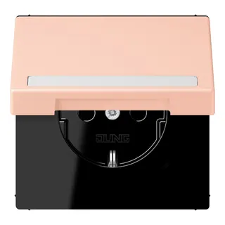 Jung SCHUKO Steckdose, 16 A 250 V ~, mit Schriftfeld, Serie LS, l'ocre LC1520BFNAKL234
