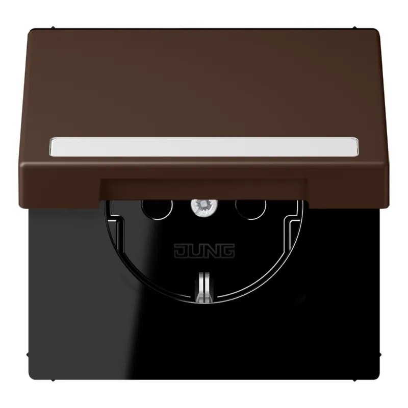 Jung SCHUKO Steckdose, 16 A 250 V ~, mit Schriftfeld, Serie LS, terre d LC1520BFNAKL239