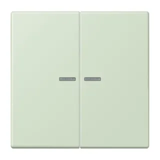 Jung HOME Taster 2fach, Serie LS, vert anglâis pale BTLC17102218