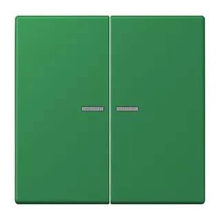 Jung HOME Taster 2fach, Serie LS, vert foncé BTLC17102219