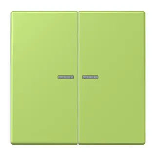 Jung HOME Taster 2fach, Serie LS, vert clair BTLC17102221