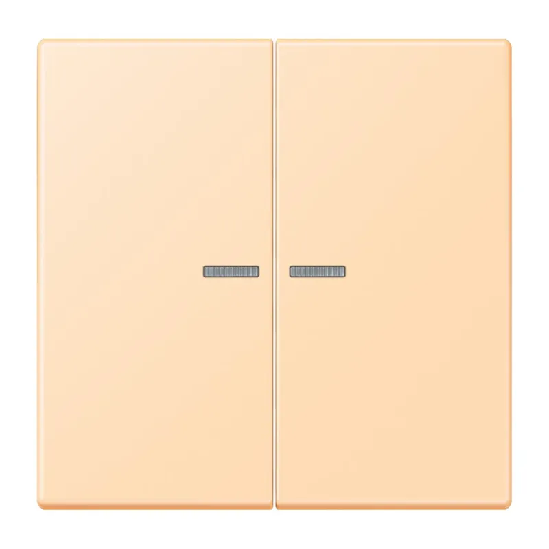 Jung HOME Taster 2fach, Serie LS, ocre BTLC17102223