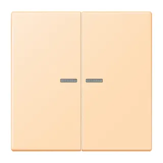 Jung HOME Taster 2fach, Serie LS, ocre BTLC17102223