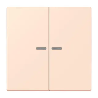 Jung HOME Taster 2fach, Serie LS, orange pâle BTLC17102226