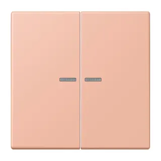 Jung HOME Taster 2fach, Serie LS, rose clair BTLC17102231