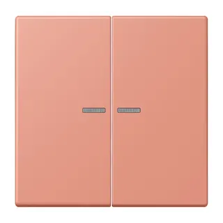 Jung HOME Taster 2fach, Serie LS, l'ocre rouge moyen BTLC17102233