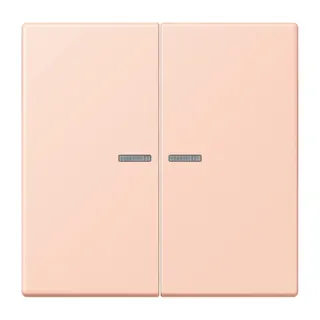 Jung HOME Taster 2fach, Serie LS, l'ocre rouge clair BTLC17102234