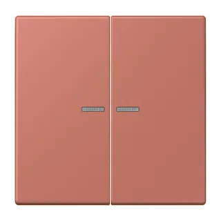 Jung HOME Taster 2fach, Serie LS, terre sienne brique BTLC17102236