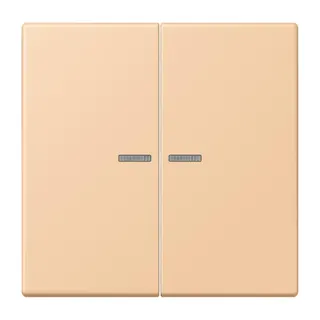 Jung HOME Taster 2fach, Serie LS, terre sienne claire 31 BTLC17102237