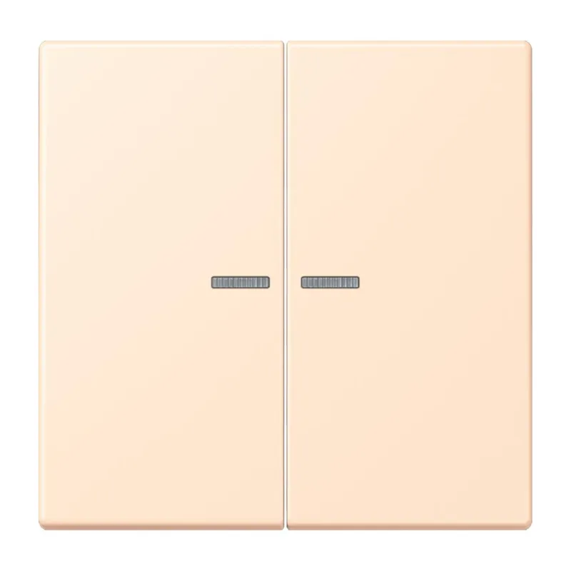 Jung HOME Taster 2fach, Serie LS, terre sienne pâle BTLC17102238