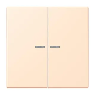 Jung HOME Taster 2fach, Serie LS, terre sienne pâle BTLC17102238
