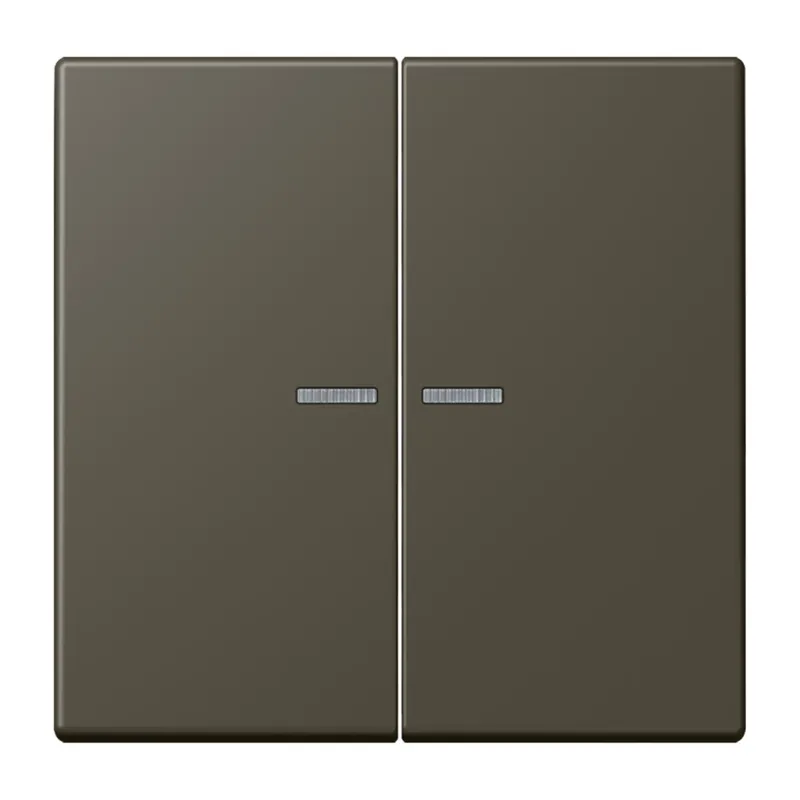 Jung HOME Taster 2fach, Serie LS, ombre naturelle 31 BTLC17102241