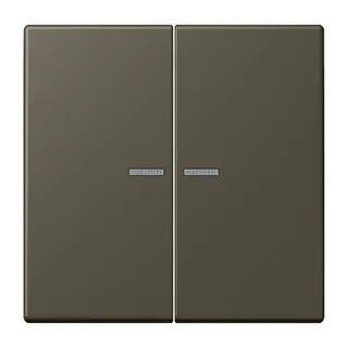 Jung HOME Taster 2fach, Serie LS, ombre naturelle 31 BTLC17102241