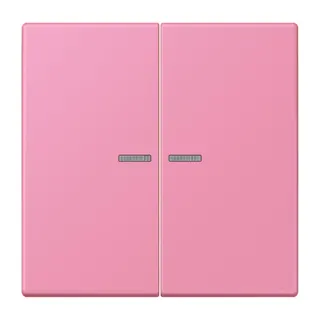 Jung HOME Taster 2fach, Serie LS, rose vif BTLC17102246