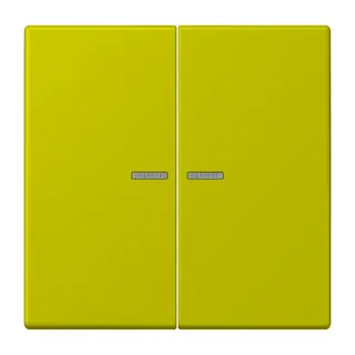 Jung HOME Taster 2fach, Serie LS, vert olive vif BTLC17102249