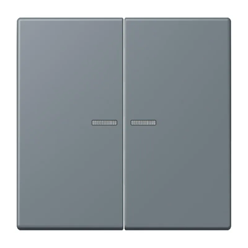 Jung HOME Taster 2fach, Serie LS, gris 59 BTLC17102251