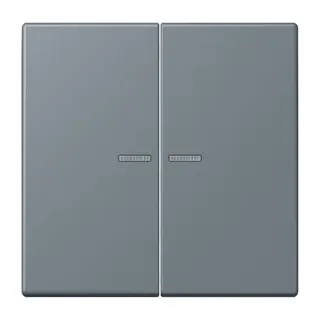Jung HOME Taster 2fach, Serie LS, gris 59 BTLC17102251