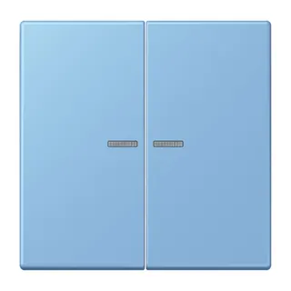 Jung HOME Taster 2fach, Serie LS, bleu céruléen 59 BTLC17102256