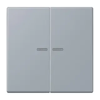 Jung HOME Taster 2fach, Serie LS, gris clair 59 BTLC17102257