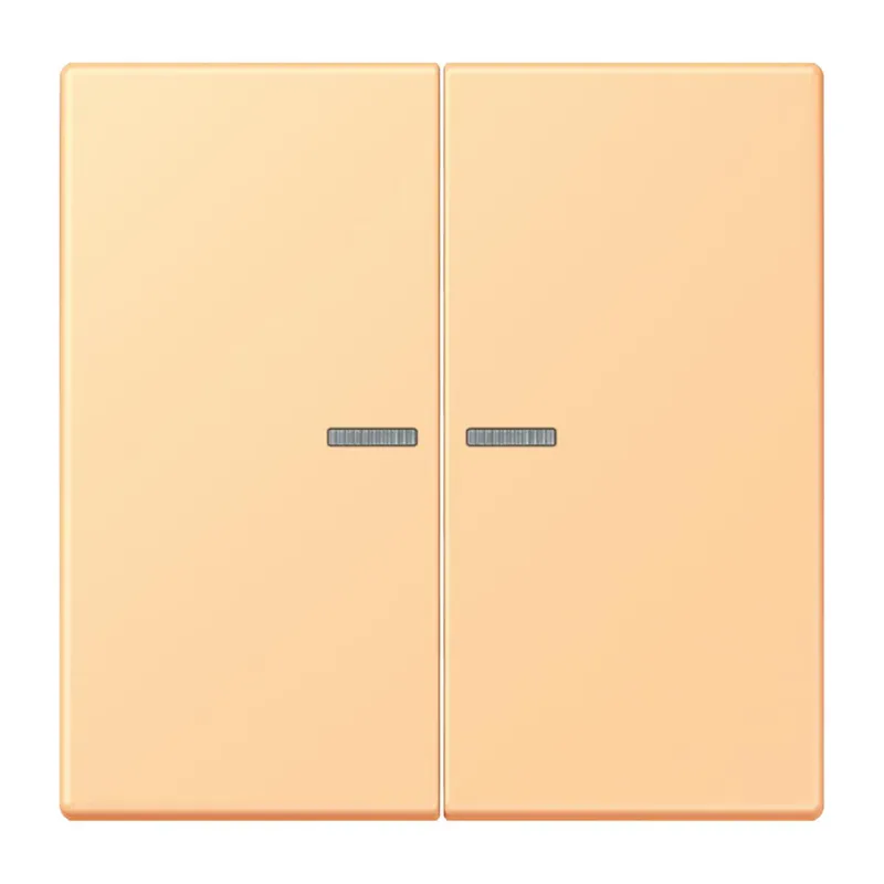 Jung Wippe 2fach mit Lichtleiter, Serie LS, terre sienne claire 59 LC995KO5258