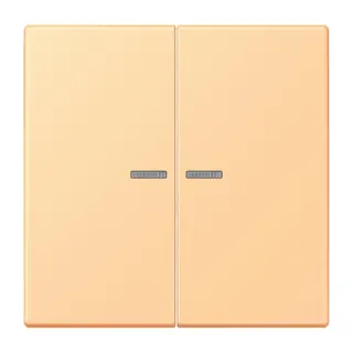 Jung HOME Taster 2fach, Serie LS, terre sienne claire 59 BTLC17102258