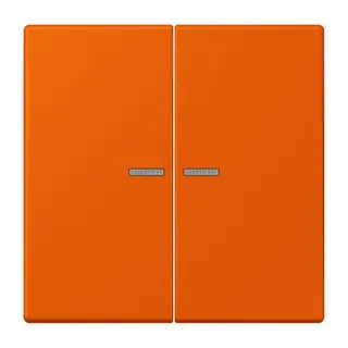 Jung HOME Taster 2fach, Serie LS, orange vif BTLC17102260