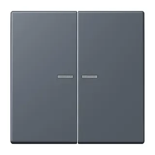 Jung HOME Taster 2fach, Serie LS, gris fonce 59 BTLC17102262