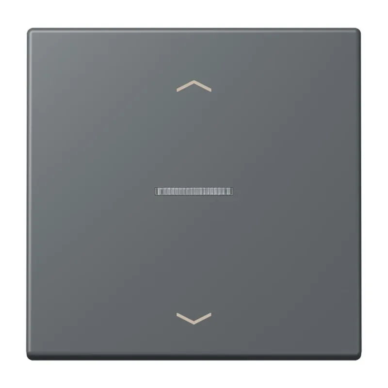 Jung HOME Taster 1fach, mit Pfeilsymbolen, Serie LS, gris foncé 31 BTLC17101P202