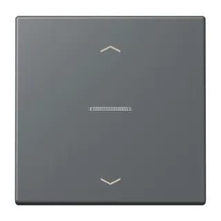 Jung HOME Taster 1fach, mit Pfeilsymbolen, Serie LS, gris foncé 31 BTLC17101P202