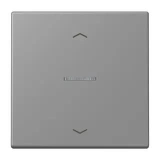 Jung HOME Taster 1fach, mit Pfeilsymbolen, Serie LS, gris 31 BTLC17101P203