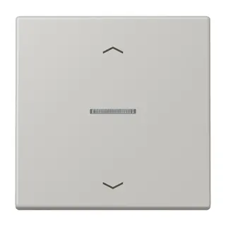 Jung HOME Taster 1fach, mit Pfeilsymbolen, Serie LS, gris clair 31 BTLC17101P205