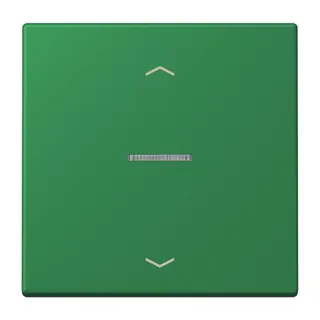 Jung HOME Taster 1fach, mit Pfeilsymbolen, Serie LS, vert foncé BTLC17101P219