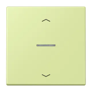 Jung HOME Taster 1fach, mit Pfeilsymbolen, Serie LS, vert jaune clair BTLC17101P222