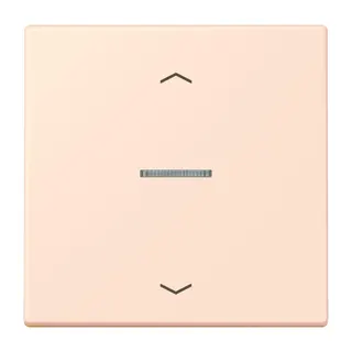 Jung HOME Taster 1fach, mit Pfeilsymbolen, Serie LS, orange pâle BTLC17101P226