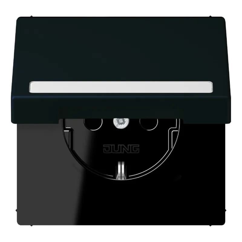 Jung SCHUKO Steckdose, 16 A 250 V ~, mit Schriftfeld, Serie LS, noir d' LC1520BFNAKL248