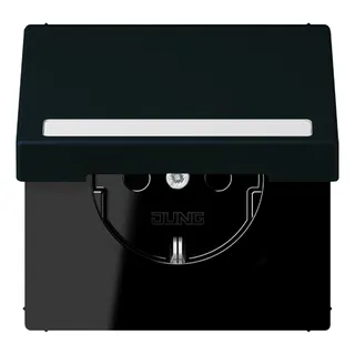 Jung SCHUKO Steckdose, 16 A 250 V ~, mit Schriftfeld, Serie LS, noir d' LC1520BFNAKL248