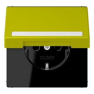 Jung SCHUKO Steckdose, 16 A 250 V ~, mit Schriftfeld, Serie LS, vert ol LC1520BFNAKL249