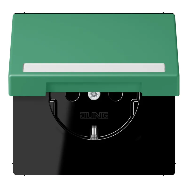 Jung SCHUKO Steckdose, 16 A 250 V ~, mit Schriftfeld, Serie LS, vert 59 LC1520BFNAKL250