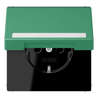 Jung SCHUKO Steckdose, 16 A 250 V ~, mit Schriftfeld, Serie LS, vert 59 LC1520BFNAKL250