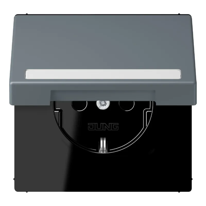 Jung SCHUKO Steckdose, 16 A 250 V ~, mit Schriftfeld, Serie LS, gris 59 LC1520BFNAKL251