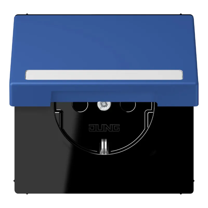 Jung SCHUKO Steckdose, 16 A 250 V ~, mit Schriftfeld, Serie LS, bleu ou LC1520BFNAKL253