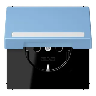 Jung SCHUKO Steckdose, 16 A 250 V ~, mit Schriftfeld, Serie LS, bleu cé LC1520BFNAKL256