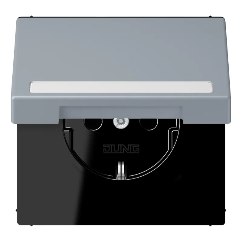 Jung SCHUKO Steckdose, 16 A 250 V ~, mit Schriftfeld, Serie LS, gris cl LC1520BFNAKL257