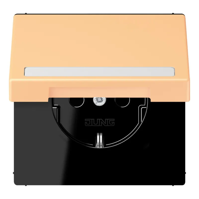 Jung SCHUKO Steckdose, 16 A 250 V ~, mit Schriftfeld, Serie LS, terre s LC1520BFNAKL258